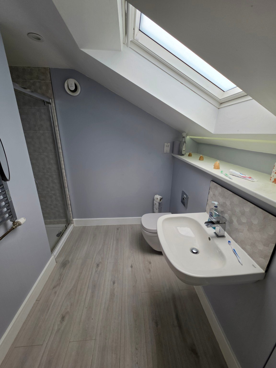 Private shower room with rooflight